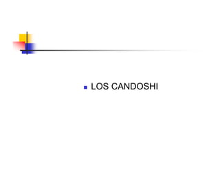    LOS CANDOSHI
 