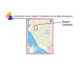 Ubicación de la región Candoshi en la Alta Amazonía

                                         Región
                                         Candoshi
 