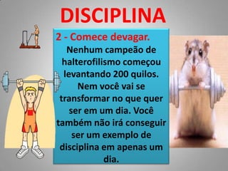 DISCIPLINA2 - Comece devagar.Nenhum campeão de halterofilismo começou levantando 200 quilos. Nem você vai se transformar no que quer ser em um dia. Você também não irá conseguir ser um exemplo de disciplina em apenas um dia.