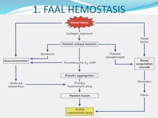 1. FAAL HEMOSTASIS
 