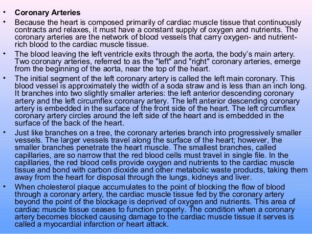 Anatomy and function of the coronary arteries