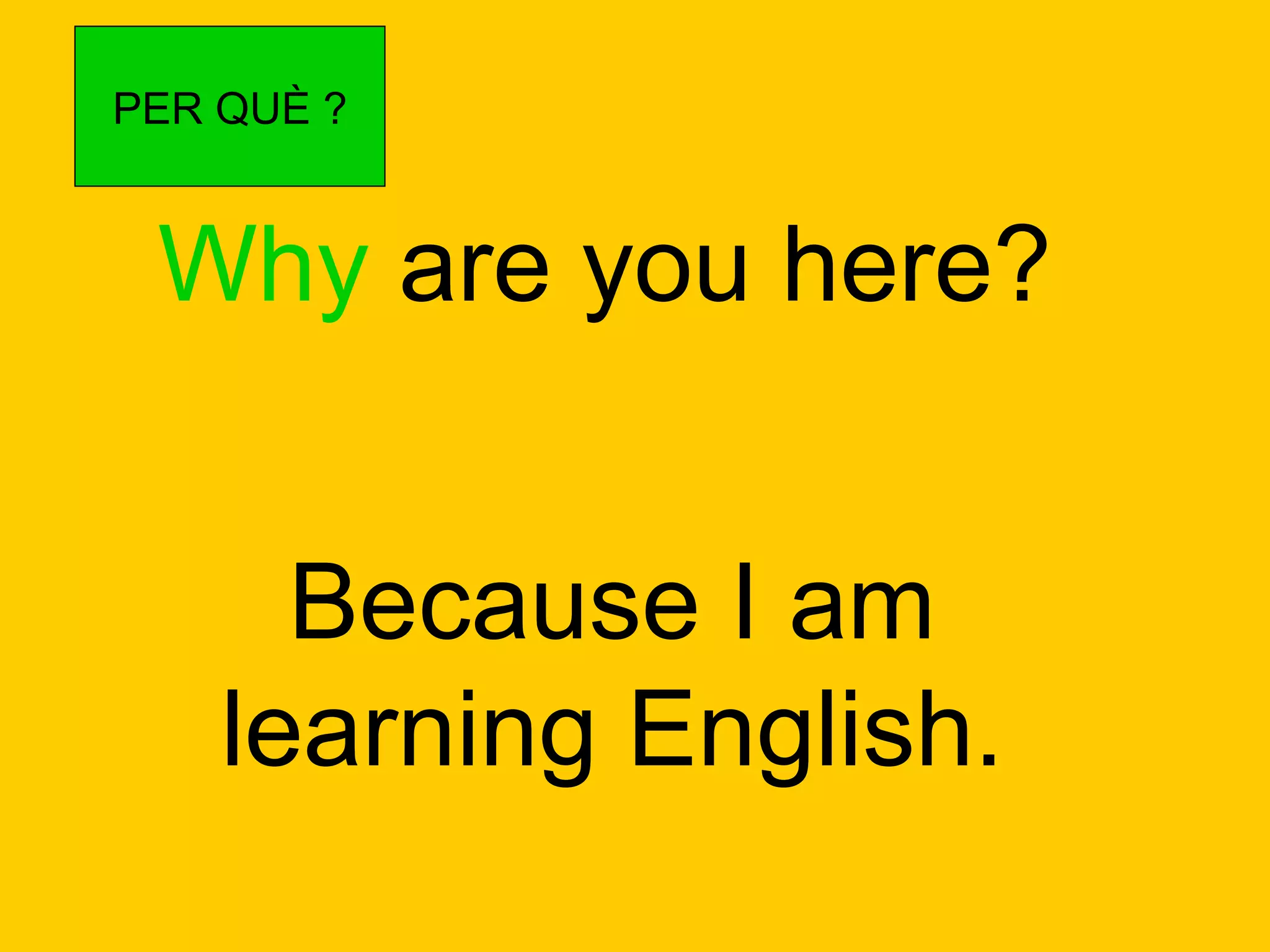 Why  are you here? Because I am learning English. PER QUÈ ? 