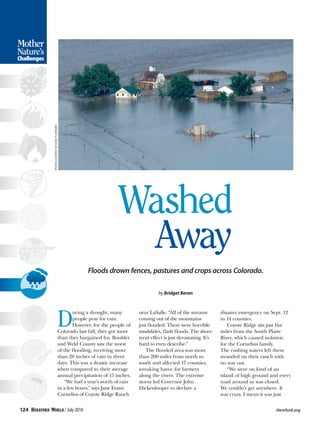 Washed
Away
Floods drown fences, pastures and crops across Colorado.
by Bridget Beran
D
uring a drought, many
people pray for rain.
However, for the people of
Colorado last fall, they got more
than they bargained for. Boulder
and Weld County saw the worst
of the flooding, receiving more
than 26 inches of rain in three
days. This was a drastic increase
when compared to their average
annual precipitation of 15 inches.
“We had a year’s worth of rain
in a few hours,” says Jane Evans
Cornelius of Coyote Ridge Ranch
near LaSalle. “All of the streams
coming out of the mountains
just flooded. There were horrible
mudslides, flash floods. The short-
term effect is just devastating. It’s
hard to even describe.”
The flooded area was more
than 200 miles from north to
south and affected 17 counties,
wreaking havoc for farmers
along the rivers. The extreme
storm led Governor John
Hickenlooper to declare a
disaster emergency on Sept. 12
in 14 counties.
Coyote Ridge sits just five
miles from the South Platte
River, which caused isolation
for the Cornelius family.
The rushing waters left them
stranded on their ranch with
no way out.
“We were on kind of an
island of high ground and every
road around us was closed.
We couldn’t get anywhere. It
was crazy. I mean it was just
Stress-O-meter
Mother
Nature’s
Challenges
PHOTOCOURTESYOFKCNC-TVDENVER
124 / July 2014 	 Hereford.org
 