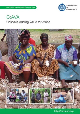 C:AVA
Cassava Adding Value for Africa
http://cava.nri.org
NATURAL RESOURCES INSTITUTE
 