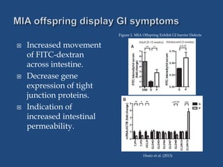  Increased movement
of FITC-dextran
across intestine.
 Decrease gene
expression of tight
junction proteins.
 Indication of
increased intestinal
permeability.
Hsaio et al. (2013)
Figure 1. MIA Offspring Exhibit GI barrier Defects
 