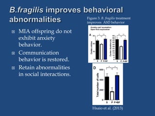  MIA offspring do not
exhibit anxiety
behavior.
 Communication
behavior is restored.
 Retain abnormalities
in social interactions.
Hsaio et al. (2013)
Figure 3. B. fragilis treatment
improves ASD behavior
 