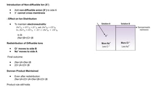 Introduction of Non-diffusible Ion (X )
⁻
● Add non-diffusible anion (X )
⁻ to side A
● X⁻ cannot cross membrane
: Effect on Ion Distribution
● To maintain electroneutrality:
In B:
(Na+)B=(Cl−)B
Redistribution of Diffusible Ions
● Cl moves to side B
⁻
● Na moves to side A
⁺
Final outcome:
● (Na+)A>(Na+)B
● (Cl−)A<(Cl−)B
Donnan Product Maintained
● Even after redistribution:
(Na+)A×(Cl−)A=(Na+)B×(Cl−)B
Product rule still holds
 