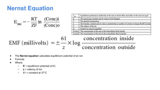 Nernst Equation
● The Nernst equation calculates equilibrium potential of an ion
● Formula:
● Where:
○ E = equilibrium potential (mV)
○ z = valency of ion
○ 61 = constant at 37°C
 