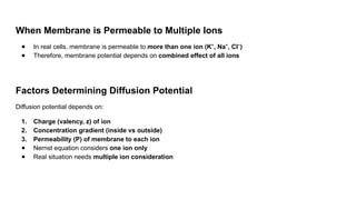 When Membrane is Permeable to Multiple Ions
● In real cells, membrane is permeable to more than one ion (K , Na , Cl )
⁺ ⁺ ⁻
● Therefore, membrane potential depends on combined effect of all ions
Factors Determining Diffusion Potential
Diffusion potential depends on:
1. Charge (valency, z) of ion
2. Concentration gradient (inside vs outside)
3. Permeability (P) of membrane to each ion
● Nernst equation considers one ion only
● Real situation needs multiple ion consideration
 