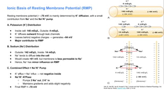 Ionic Basis of Resting Membrane Potential (RMP)
Resting membrane potential (~ –70 mV) is mainly determined by K diffusion
⁺ , with a small
contribution from Na⁺ and the Na /K pump
⁺ ⁺ .
A. Potassium (K ) Distribution
⁺
● Inside cell: 140 mEq/L, Outside: 4 mEq/L
● K diffuses
⁺ outward through leak channels
● Leaves behind negative charges → generates –94 mV
● Major contributor to RMP
B. Sodium (Na ) Distribution
⁺
● Outside: 142 mEq/L, Inside: 14 mEq/L
● Na tends to diffuse
⁺ into the cell
● Would create +61 mV, but membrane is less permeable to Na⁺
● Hence, Na has
⁺ minor influence on RMP
C. Combined Effect + Na /K Pump
⁺ ⁺
● K efflux > Na influx → net
⁺ ⁺ negative inside
● Na /K ATPase
⁺ ⁺ :
○ Pumps 3 Na out
⁺ , 2 K in
⁺
○ Maintains gradients and adds slight negativity
● Final RMP ≈ –70 mV Hall JE, Hall ME, Vaz M, Kurpad A, Raj T. Guyton and Hall Textbook of Medical Physiology. 3rd
South Asia ed. Noida: Elsevier India; 2020. p. 61-64.
 