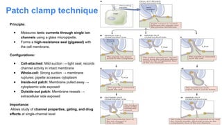 Patch clamp technique
Principle:
● Measures ionic currents through single ion
channels using a glass micropipette.
● Forms a high-resistance seal (gigaseal) with
the cell membrane.
Configurations:
● Cell-attached: Mild suction → tight seal; records
channel activity in intact membrane
● Whole-cell: Strong suction → membrane
ruptures; pipette accesses cytoplasm
● Inside-out patch: Membrane pulled away →
cytoplasmic side exposed
● Outside-out patch: Membrane reseals →
extracellular side exposed
Importance:
Allows study of channel properties, gating, and drug
effects at single-channel level
 