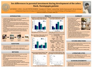 FINAL Zebra Finch Poster 2015 | PPT