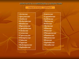 ΢ΠΟΡΟΛΟΓΙΟ ΚΑΛΛΩΠΙ΢ΣΙΚΩΝ & ΔΑ΢ΙΚΩΝ ΕΙΔΩΝ 
ΟΙΚΟΓΔΝΔΙΔ΢ ΢ΠΟΡΩΝ 
•Aceraceae 
•Apocynaceae 
•Araliacae 
•Berberidaceae 
•Betul...