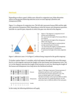 Balancing Selection in Genetic Data | PDF