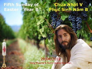 29/04/2018
Hùng Phương & Thanh Quảng thực hiện
Fifth Sunday of
Easter - Year B
Chúa Nhật V
Phục Sinh Năm B
8
 