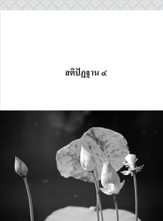 สติปฏฐาน ๔
 