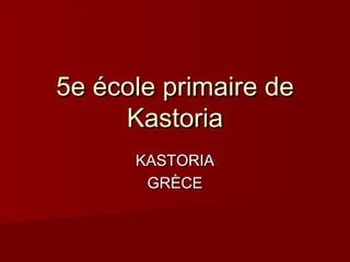 5e école primaire de
Kastoria
KASTORIA
GRÈCE

 