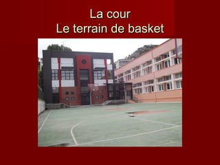 La cour
Le terrain de basket

 
