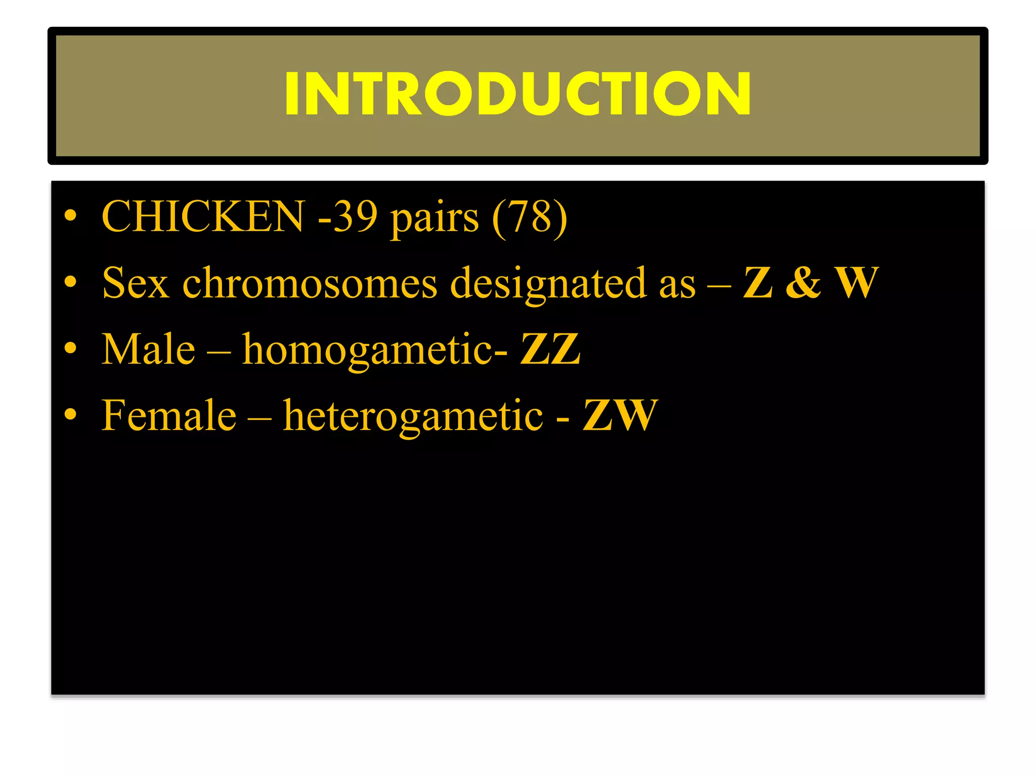 Economic traits of Broilers and layers | PPTX