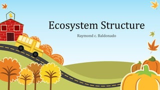 Ecosystem Structure
Raymond c. Baldonado
 