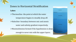 Zones in Horizontal Stratification
Lakes
Thermocline- the point at which the water
temperature begins to steadily drop off.
Halocline- boundary between oxic and anoxic
water and salinity gradient respectively.
Monimolimnion formed if the hypolimnion is deep
enough to never mix with the upper layers.
 