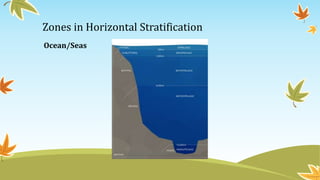 Zones in Horizontal Stratification
Ocean/Seas
 