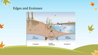 Edges and Ecotones
 