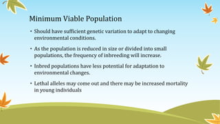 Minimum Viable Population
• Should have sufficient genetic variation to adapt to changing
environmental conditions.
• As the population is reduced in size or divided into small
populations, the frequency of inbreeding will increase.
• Inbred populations have less potential for adaptation to
environmental changes.
• Lethal alleles may come out and there may be increased mortality
in young individuals
 
