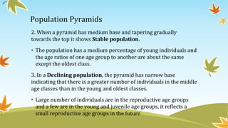 Population Pyramids
2. When a pyramid has medium base and tapering gradually
towards the top it shows Stable population.
• The population has a medium percentage of young individuals and
the age ratios of one age group to another are about the same
except the oldest class.
3. In a Declining population, the pyramid has narrow base
indicating that there is a greater number of individuals in the middle
age classes than in the young and oldest classes.
• Large number of individuals are in the reproductive age groups
and a few are in the young and juvenile age groups, it reflects a
small reproductive age groups in the future
 