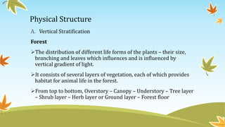 Physical Structure
A. Vertical Stratification
Forest
The distribution of different life forms of the plants – their size,
branching and leaves which influences and is influenced by
vertical gradient of light.
It consists of several layers of vegetation, each of which provides
habitat for animal life in the forest.
From top to bottom, Overstory – Canopy – Understory – Tree layer
– Shrub layer – Herb layer or Ground layer – Forest floor
 