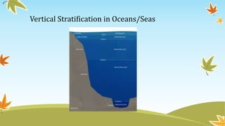 Vertical Stratification in Oceans/Seas
 
