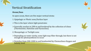 Vertical Stratification
Ocean/Seas
In open ocean, there are five major vertical strata:
1. Epipelagic or Photic zone/Surface layer
This is the layer where light penetrates
Generally reaches to 200 m and bordered by the collection of clines
(Thermocline, Halocline and Pycnocline)
2. Mesopelagic or Twilight zone
Depending on water clarity, some light may filter through, but there is not
enough for photosynthesis to occur
Stretches from 200-1000 m and bombarded by Chemoclines-Oxygen and
Salinity level
 