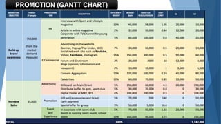 PROMOTION (GANTT CHART)
 