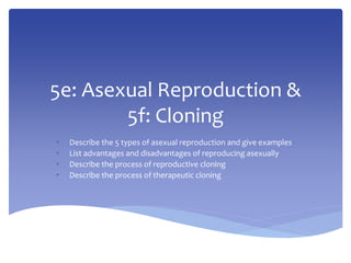 5e: Asexual Reproduction & 
5f: Cloning 
• Describe the 5 types of asexual reproduction and give examples 
• List advantages and disadvantages of reproducing asexually 
• Describe the process of reproductive cloning 
• Describe the process of therapeutic cloning 
 