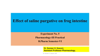 Effect of saline purgative on frog intestine
Experiment No. 5
Pharmacology-III Practical
B.Pharm Semester-VI
Dr. Sameer H. Sawant,
Assistant Professor Pharmacology,
Dr. Sameer H. Sawant, SIOP
 