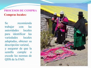 Semillas en emergencias, Por Einstein Tejada - FAO