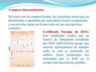 Semillas en emergencias, Por Einstein Tejada - FAO