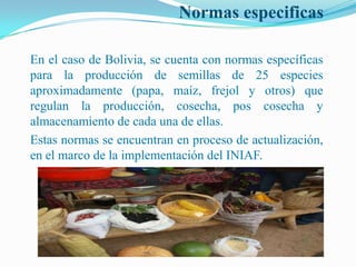 Semillas en emergencias, Por Einstein Tejada - FAO