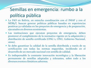 Semillas en emergencias, Por Einstein Tejada - FAO