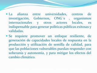 Semillas en emergencias, Por Einstein Tejada - FAO