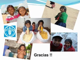 Semillas en emergencias, Por Einstein Tejada - FAO