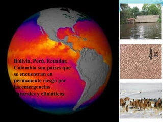 Semillas en emergencias, Por Einstein Tejada - FAO