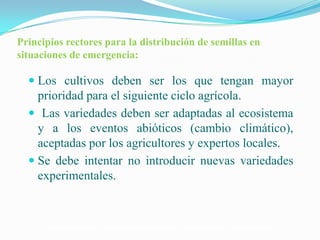 Semillas en emergencias, Por Einstein Tejada - FAO