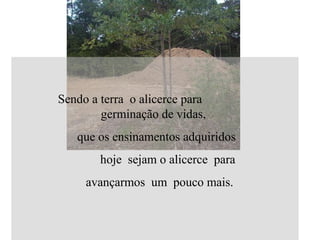 Sendo a terra o alicerce para
germinação de vidas,
que os ensinamentos adquiridos
hoje sejam o alicerce para
avançarmos um pouco mais.