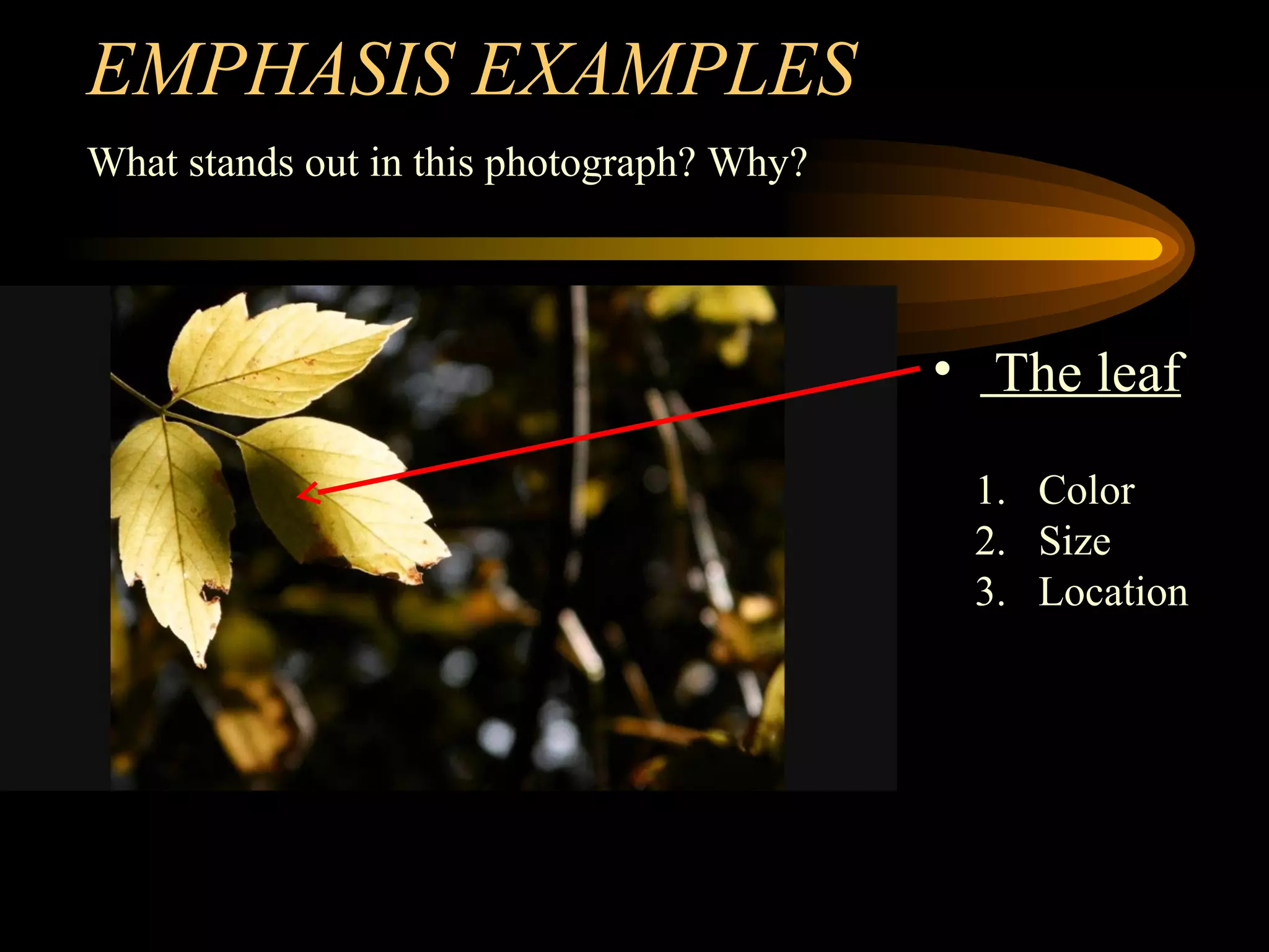 EMPHASIS EXAMPLES
What stands out in this photograph? Why?
• The leaf
1. Color
2. Size
3. Location