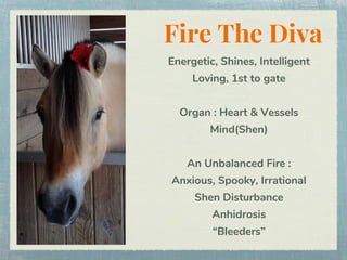 Fire The Diva
Energetic, Shines, Intelligent
Loving, 1st to gate
Organ : Heart & Vessels
Mind(Shen)
An Unbalanced Fire :
A...