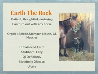 Earth The Rock
Patient, thoughtful, nurturing
Can turn out with any horse
Organ : Spleen,Stomach Mouth, GI,
Muscles
Unbalanced Earth
Stubborn, Lazy
Qi Deficiency
Metabolic Disease
Ulcers
 