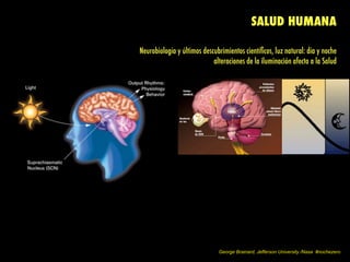SALUD HUMANA
Neurobiología y últimos descubrimientos cientíﬁcos, luz natural: día y noche
alteraciones de la iluminación afecta a la Salud
George Brainard, Jefferson University /Nasa #nochezero
 