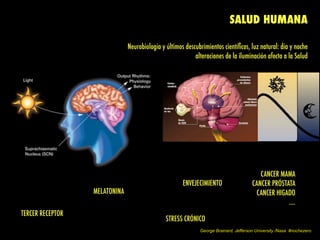 SALUD HUMANA
Neurobiología y últimos descubrimientos cientíﬁcos, luz natural: día y noche
alteraciones de la iluminación afecta a la Salud
TERCER RECEPTOR
MELATONINA
CANCER MAMA
CANCER PRÓSTATA
CANCER HIGADO
....
STRESS CRÓNICO
ENVEJECIMIENTO
George Brainard, Jefferson University /Nasa #nochezero
 