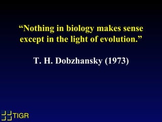 TIGRTIGRTIGRTIGR
“Nothing in biology makes sense
except in the light of evolution.”
T. H. Dobzhansky (1973)
 